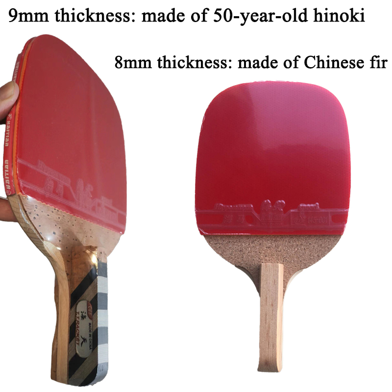 Pala de Tenis de Mesa Haitian  - Table Tennis In Japanese reseña y precio